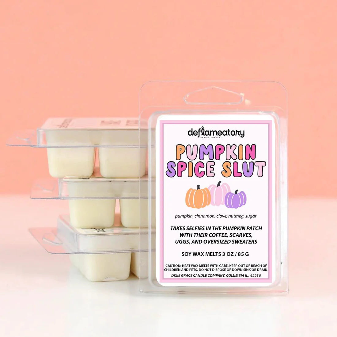 Pumpkin Spice Slut Soy Wax Melts